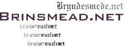 Brinsmead.net logo